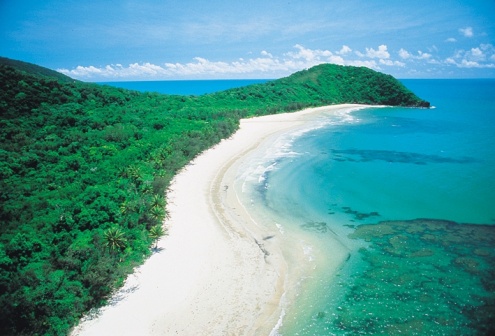 Daintree Rainforest