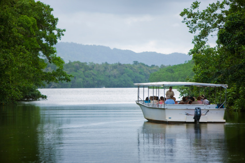 Daintree River Cruise
