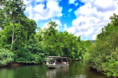 DAINTREE RIVER CRUISE