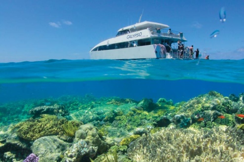 Your day at Opal Reef includes: