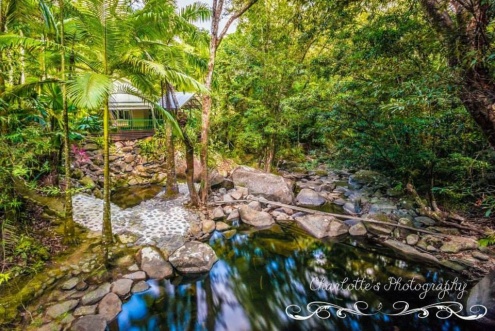 A Private Paradise Amidst the Daintree Rainforest Flora And Fauna