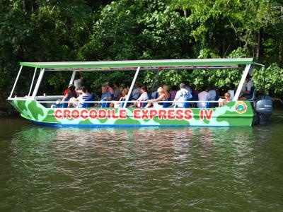 Your Daintree River Cruise