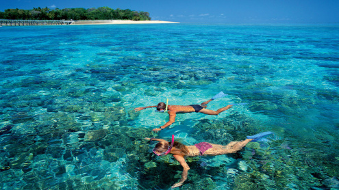 2 people snorkeling in the fringing reef at Green Island