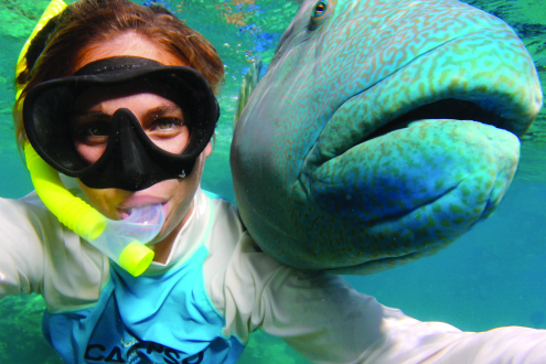 Opal Reef - Calypso Snorkelling