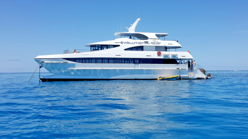Evolution Premium Day Cruise