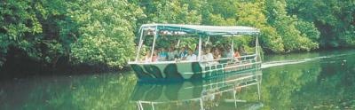 Daintree River Cruise - Crocodile Express