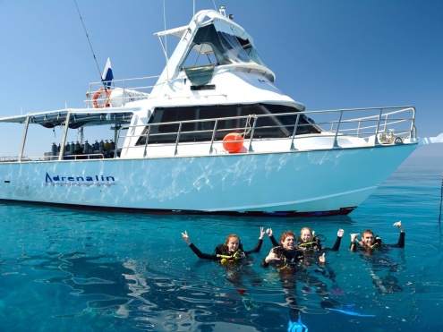 Day Trips to the Great Barrier Reef & World Famous Yongala Wreck