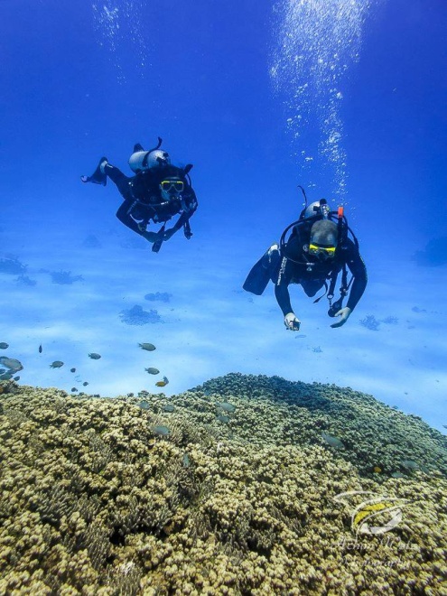 3 Day / 3 Night Eco Liveaboard