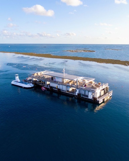 great barrier reef tours airlie beach