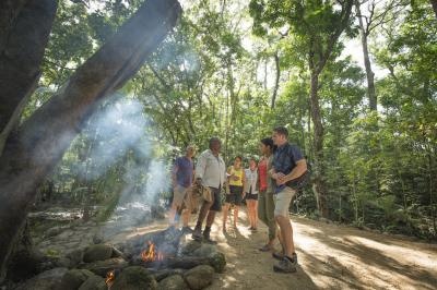 Ngadiku Rainforest Walk Mossman Gorge