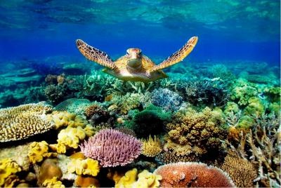 Great Barrier Reef Locations
