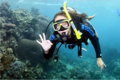 Certified Diving