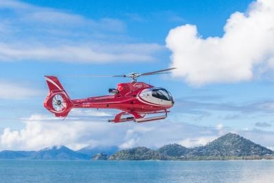 Daintree Experience