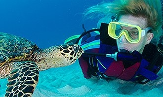 About Divers Den