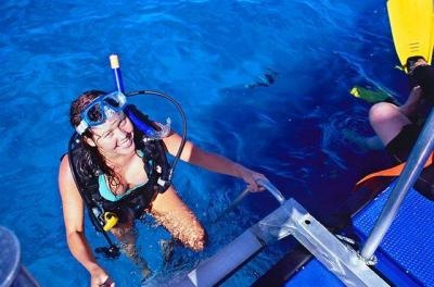 Day Reef Trips
