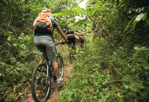 Cairns Mountain Bike Tours