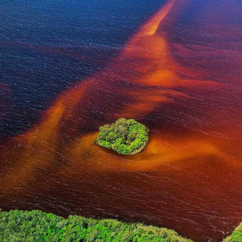 The Noosa Everglades