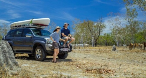 Explore Cape York