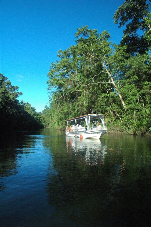 Join us for a great Daintree Wildlife Cruise.