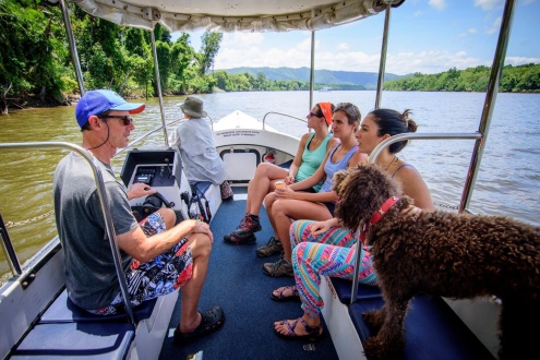 Daintree Afternoon Nature & Wildlife Tour