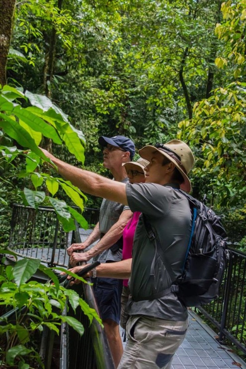 Private Daintree Mossman Gorge Exclusive Nature & Wildlife Focus