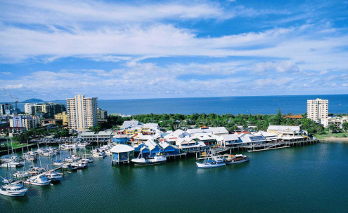 Swim with whales Mooloolaba