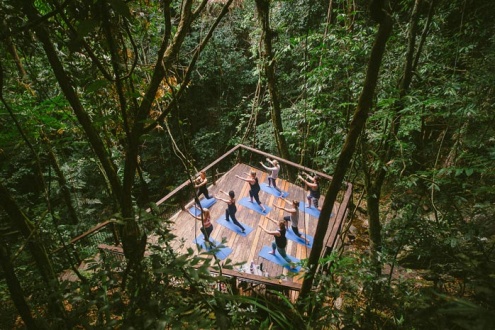 DAINTREE ECOLODGE ACTIVITIES
