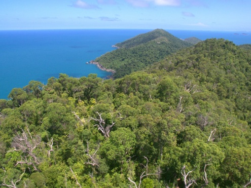 Dunk Island Walks