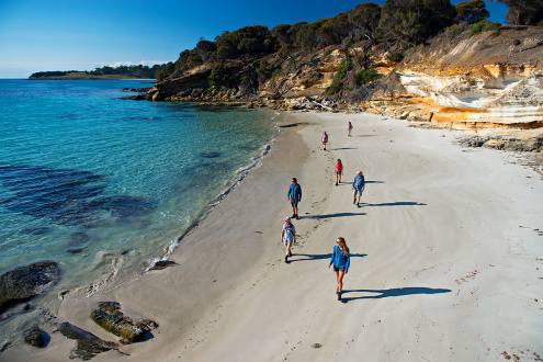 Bruny Island Day Tours from Hobart