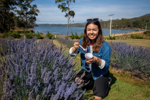 Port Arthur & Lavender Farm Tour