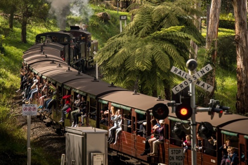 Puffing Billy Train Journey
