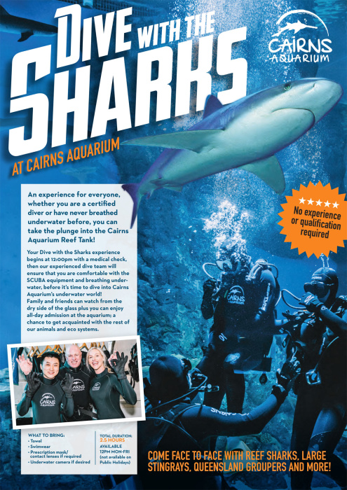 Dive with the Sharks