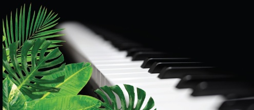 A Group Beginner Piano Short Course for Adults
