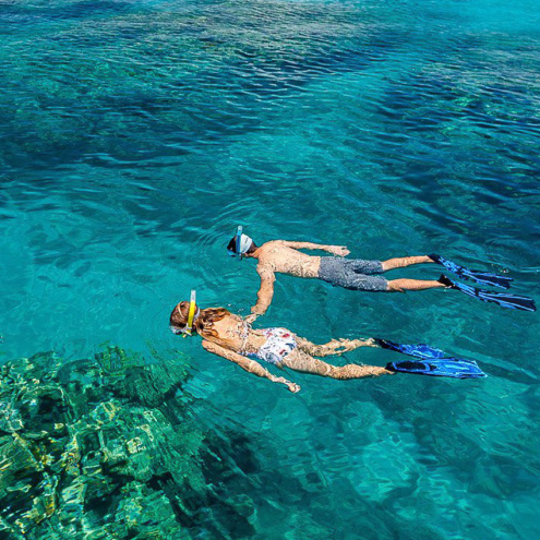 Great Adventures Outer Reef Tour from Cairns