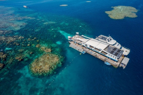 Reef Magic Marine World