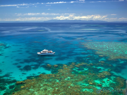 Snorkel & Cruise the Great Barrier Reef with Poseidon