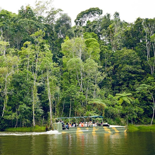 Army Duck Rainforest Tours