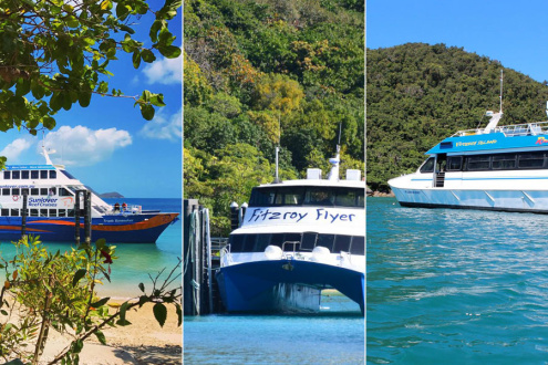 Fitzroy Island Cairns