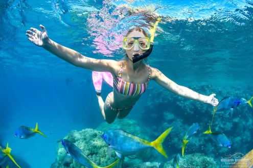 Evolution Snorkelling Tour from Cairns