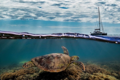 INCLUDED IN YOUR CRUISE