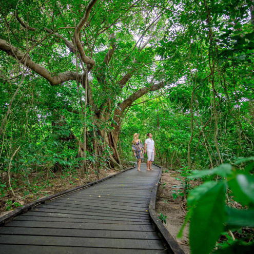 Green Island Boardwalk