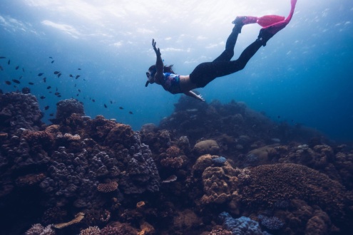 Snorkeling aboard AquaQuest