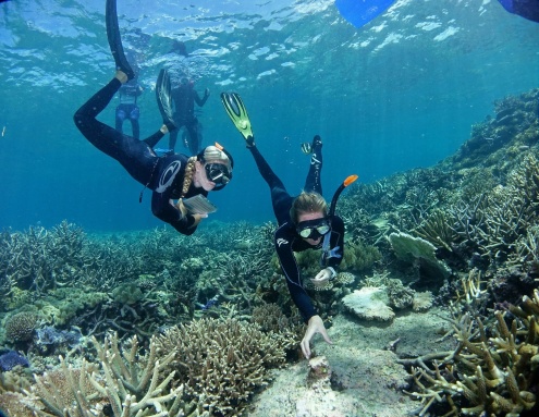 Introductory Scuba Diving with Ocean Freedom