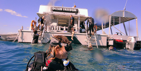 Certified Scuba Diving with Ocean Freedom