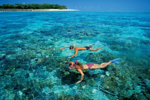 Snorkeling on Green Island