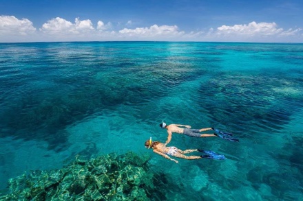 Green Island Guided Snorkel Tour