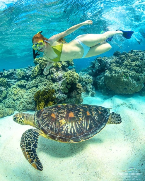 Frequntly asked questions on Cairns Reef Tours