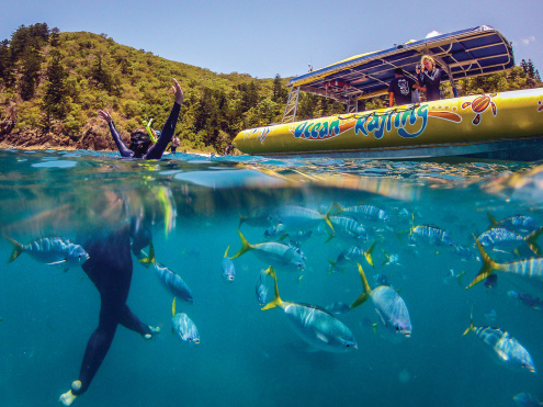 Northern Exposure Tour | Whitsundays Snorkelling & Whitehaven Beach