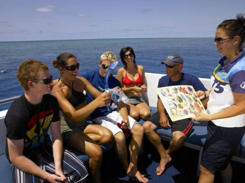 Tusa Dive Cairns Day Trip Itinerary