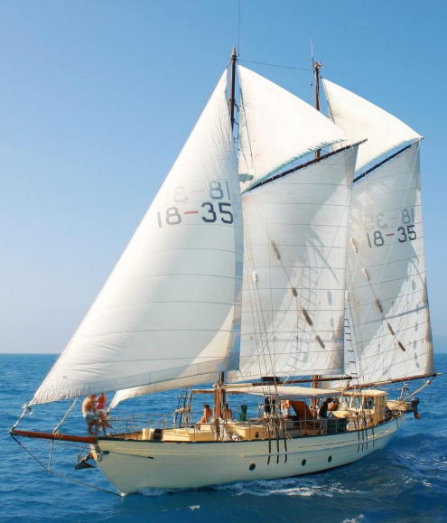 Saltwater Club Tallship Sailing Cairns